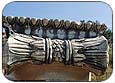 Sutun Basi / Column Head